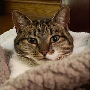 Meet your Posher, Leslie